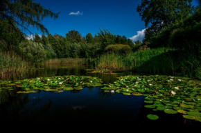 Idilliska Latgaliešu lauku māja ar melno pirti